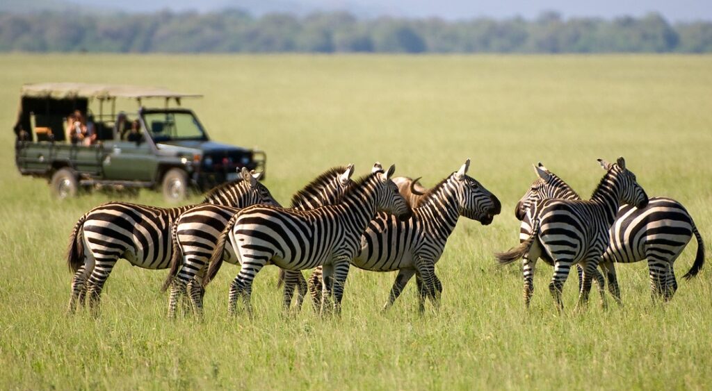 Affordable safari packages in Kenya