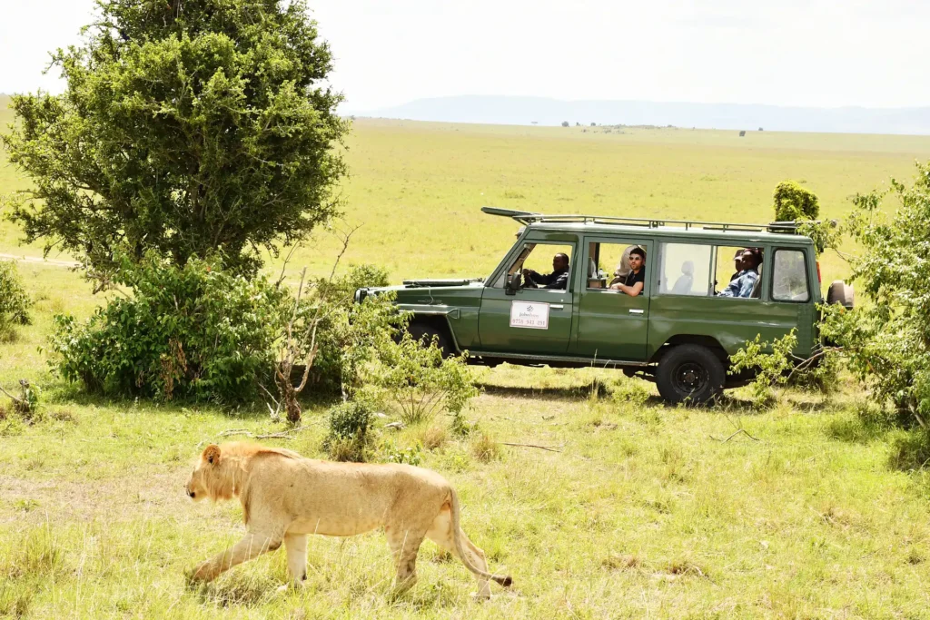 Best Kenya Safari Packages