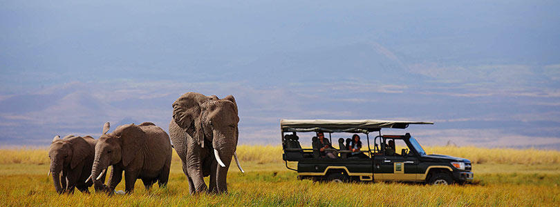 All In One Tour Packages Kenya Safaris Flights Holidays