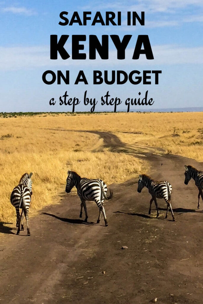 How to Plan an Affordable Kenya Safari Without Missing the Best Experiences