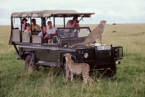 Best Kenya Safari Packages for Families