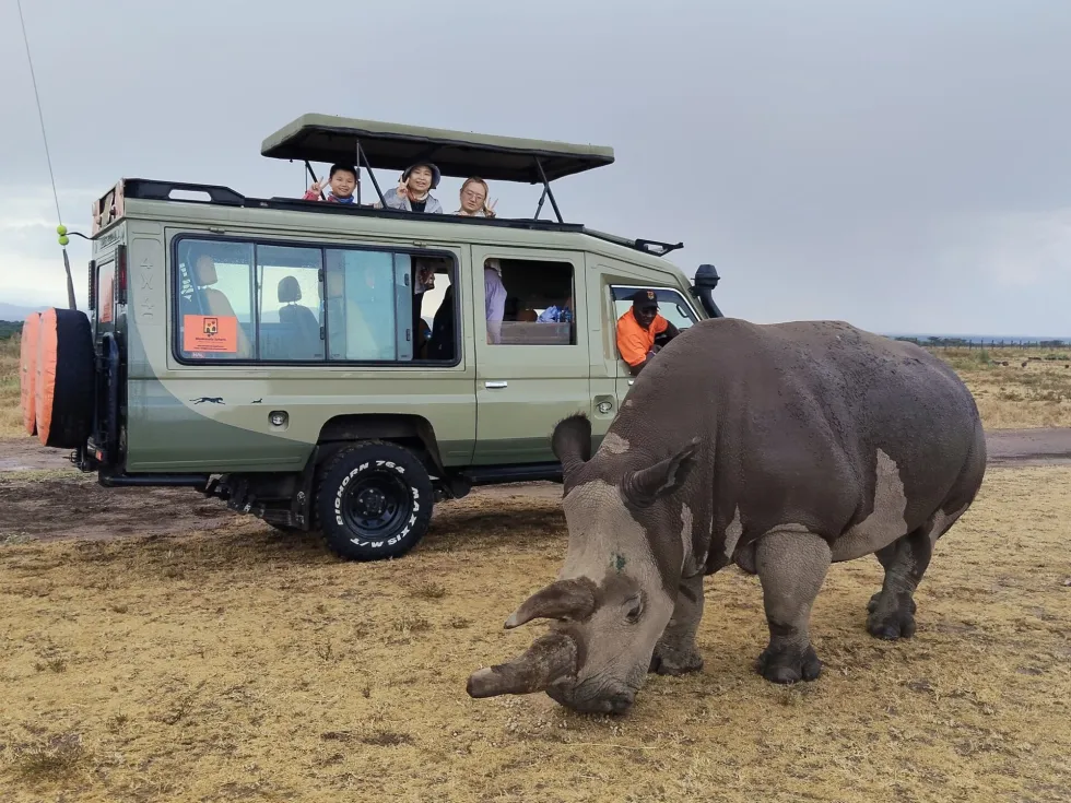 Best Kenya Safari Packages