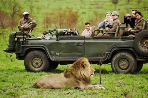 Best Kenya Safari Packages for Families: A Complete Guide