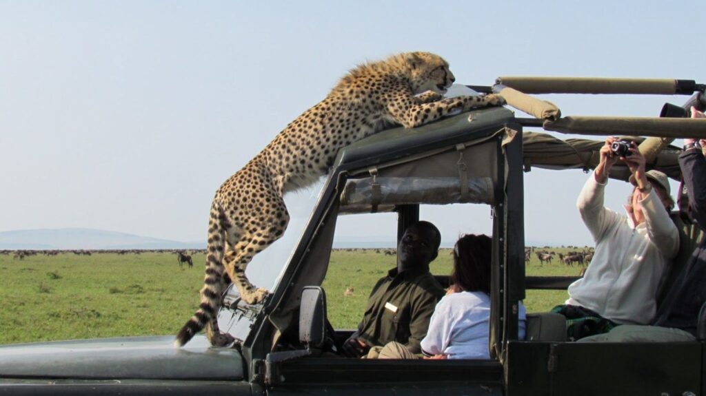 How to Choose the Right Tour Company in Kenya: A Complete Guide