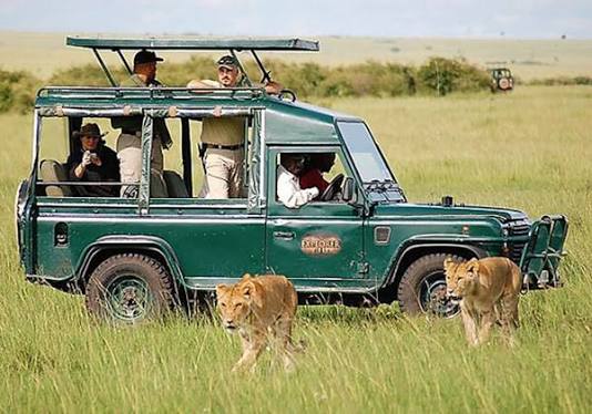 Luxury Maasai Mara Safari Package from Nairobi featuring a premium safari lodge overlooking the savannah.